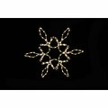 Queens Of Christmas 24 in. LED Snowflake with Star in the Middle, Warm White SF-SFSTAR-24-WW